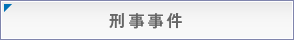 刑事事件