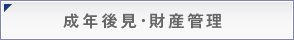 成年後見・財産管理