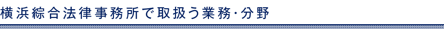 横浜綜合法律事務所で取扱う業務・分野